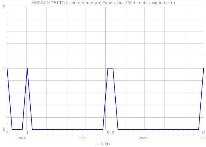 MORGANITE LTD (United Kingdom) Page visits 2024 
