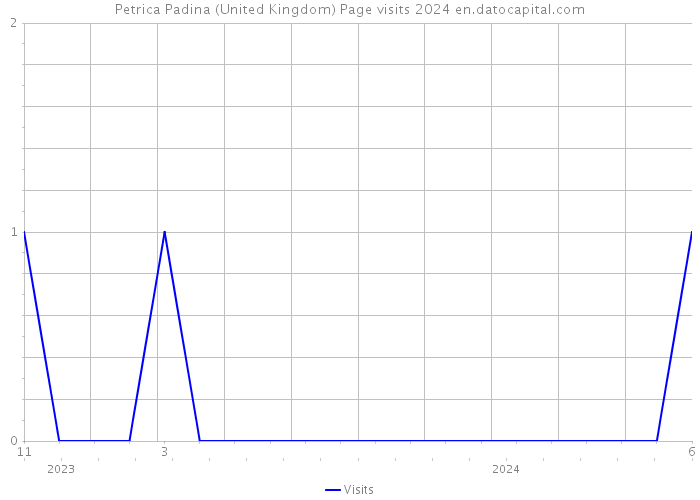 Petrica Padina (United Kingdom) Page visits 2024 