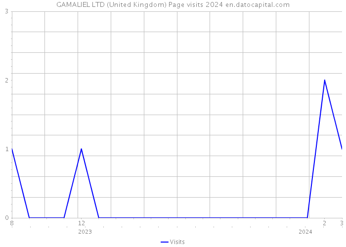 GAMALIEL LTD (United Kingdom) Page visits 2024 