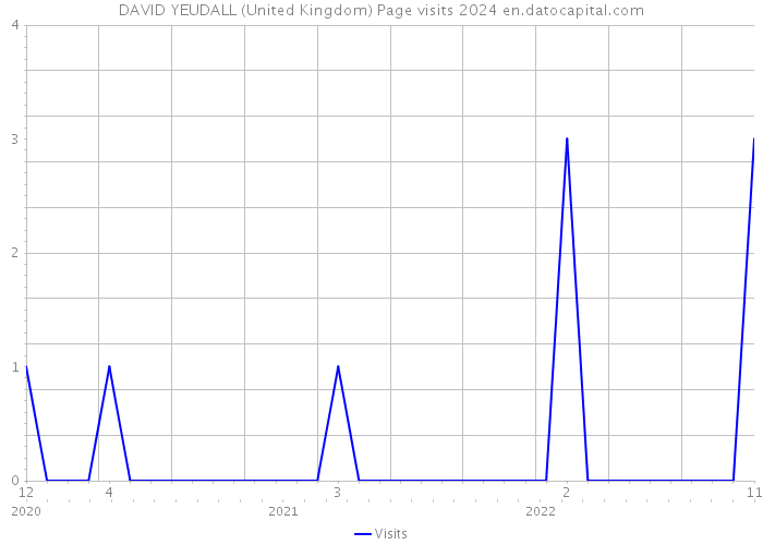 DAVID YEUDALL (United Kingdom) Page visits 2024 