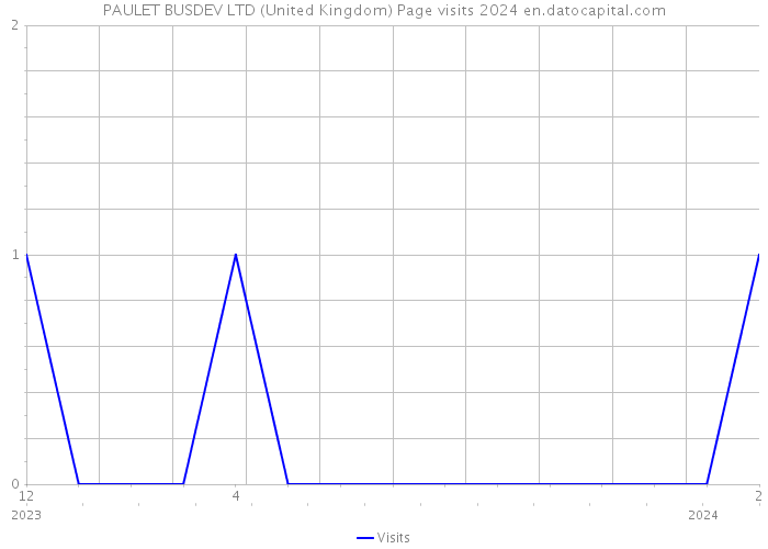 PAULET BUSDEV LTD (United Kingdom) Page visits 2024 