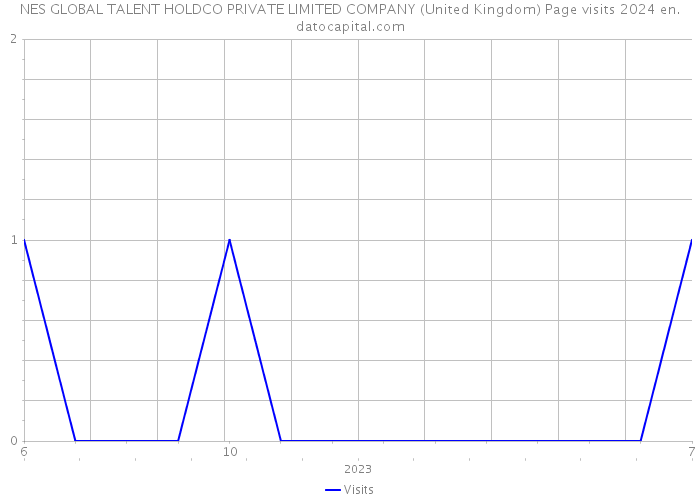 NES GLOBAL TALENT HOLDCO PRIVATE LIMITED COMPANY (United Kingdom) Page visits 2024 
