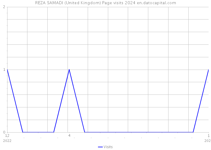 REZA SAMADI (United Kingdom) Page visits 2024 