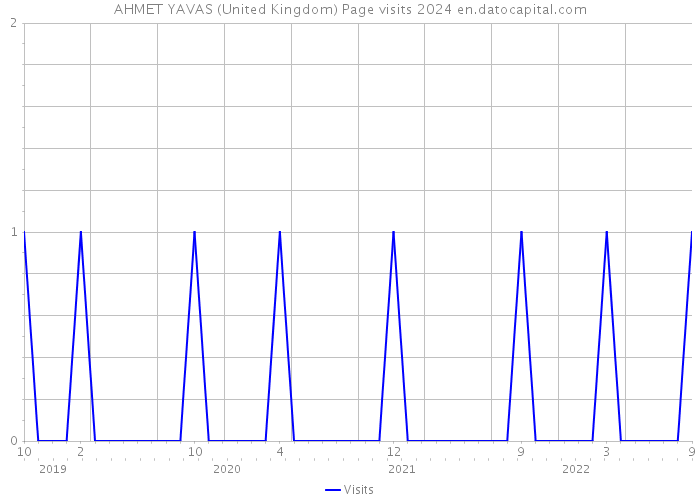 AHMET YAVAS (United Kingdom) Page visits 2024 