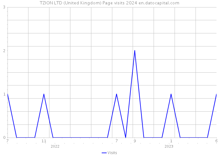 TZION LTD (United Kingdom) Page visits 2024 