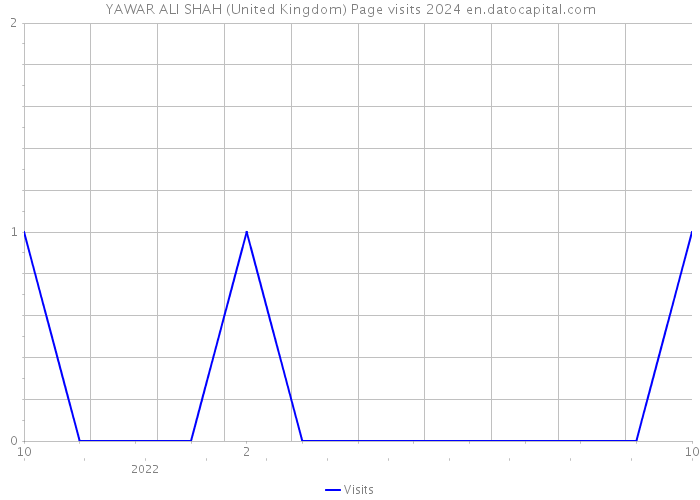 YAWAR ALI SHAH (United Kingdom) Page visits 2024 