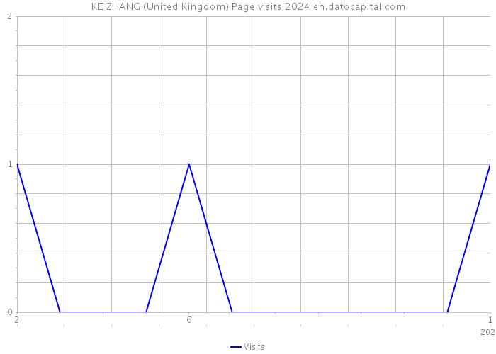 KE ZHANG (United Kingdom) Page visits 2024 