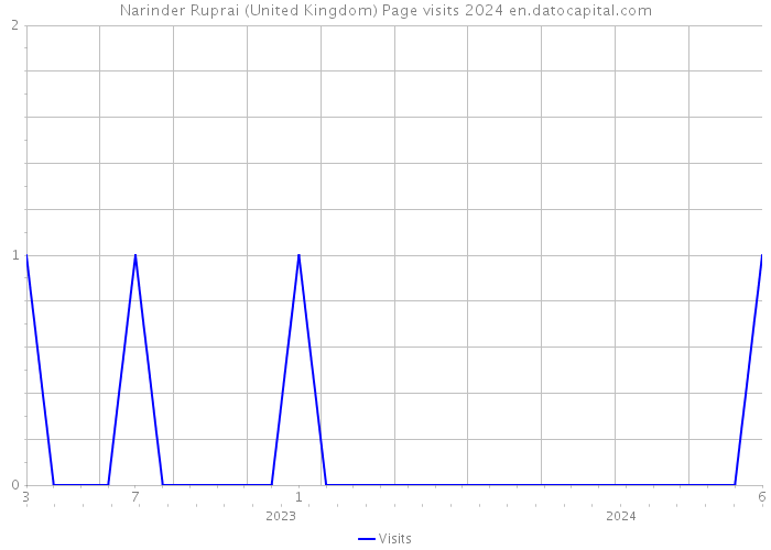 Narinder Ruprai (United Kingdom) Page visits 2024 