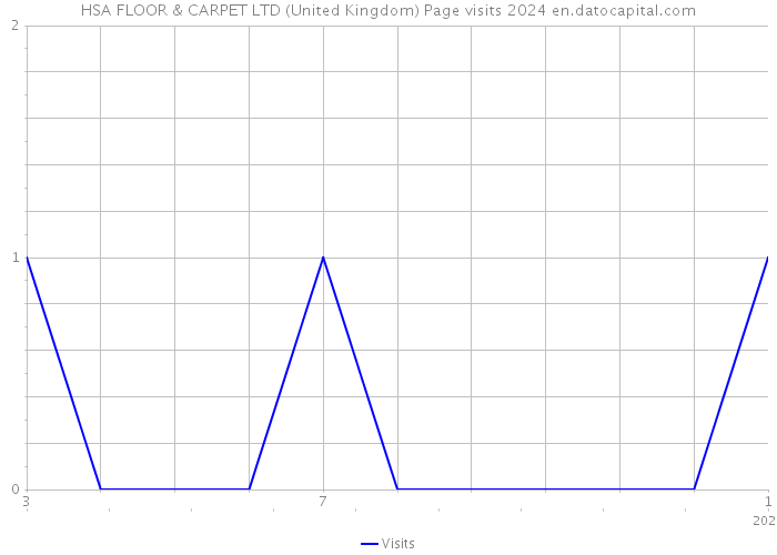 HSA FLOOR & CARPET LTD (United Kingdom) Page visits 2024 