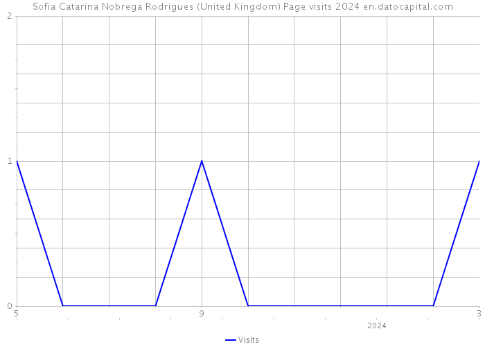 Sofia Catarina Nobrega Rodrigues (United Kingdom) Page visits 2024 