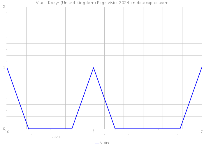 Vitalii Kozyr (United Kingdom) Page visits 2024 