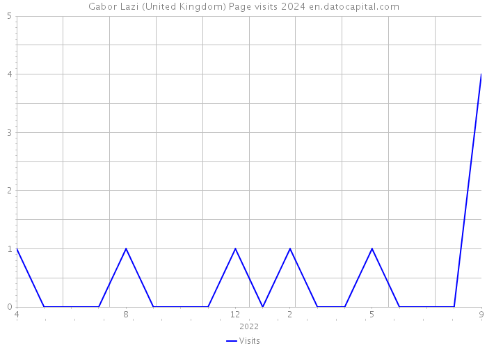 Gabor Lazi (United Kingdom) Page visits 2024 