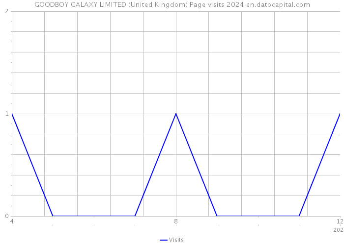 GOODBOY GALAXY LIMITED (United Kingdom) Page visits 2024 