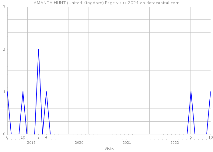 AMANDA HUNT (United Kingdom) Page visits 2024 