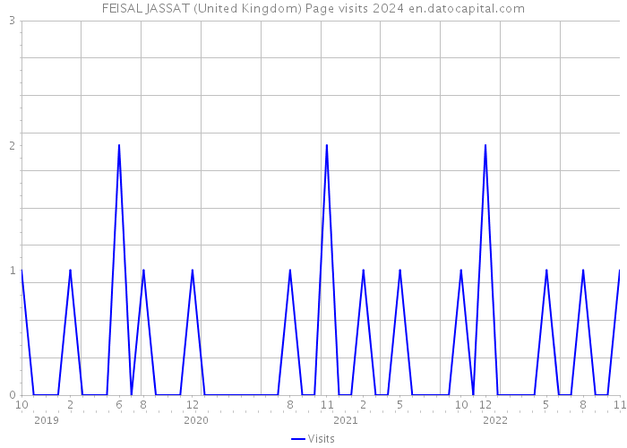 FEISAL JASSAT (United Kingdom) Page visits 2024 