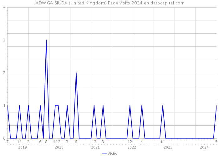 JADWIGA SIUDA (United Kingdom) Page visits 2024 