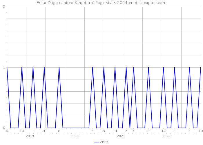 Erika Zsiga (United Kingdom) Page visits 2024 