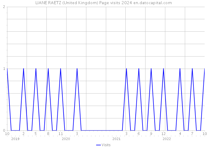 LIANE RAETZ (United Kingdom) Page visits 2024 