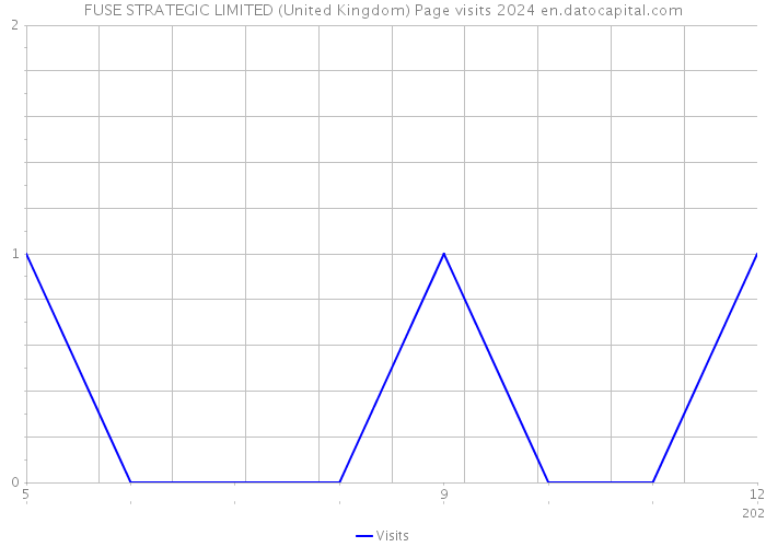 FUSE STRATEGIC LIMITED (United Kingdom) Page visits 2024 