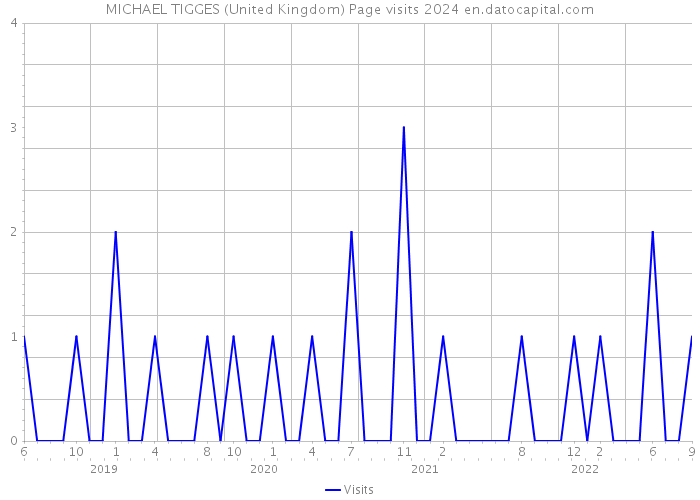 MICHAEL TIGGES (United Kingdom) Page visits 2024 