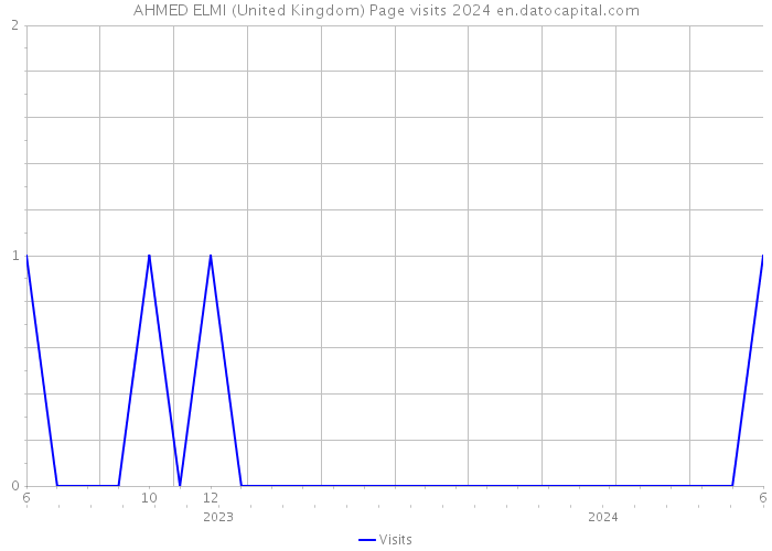 AHMED ELMI (United Kingdom) Page visits 2024 