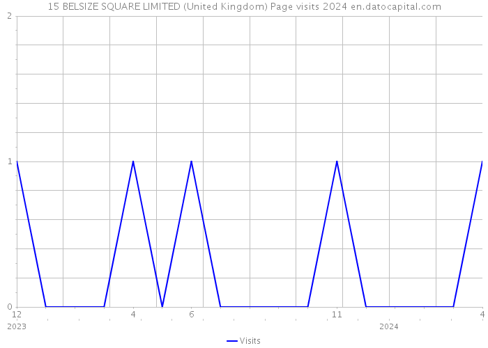 15 BELSIZE SQUARE LIMITED (United Kingdom) Page visits 2024 