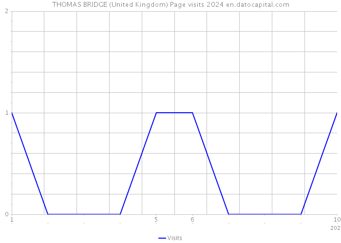 THOMAS BRIDGE (United Kingdom) Page visits 2024 