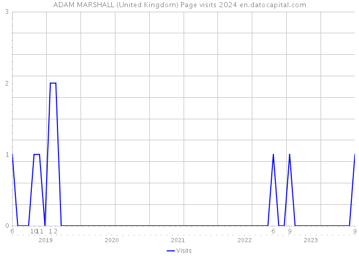 ADAM MARSHALL (United Kingdom) Page visits 2024 