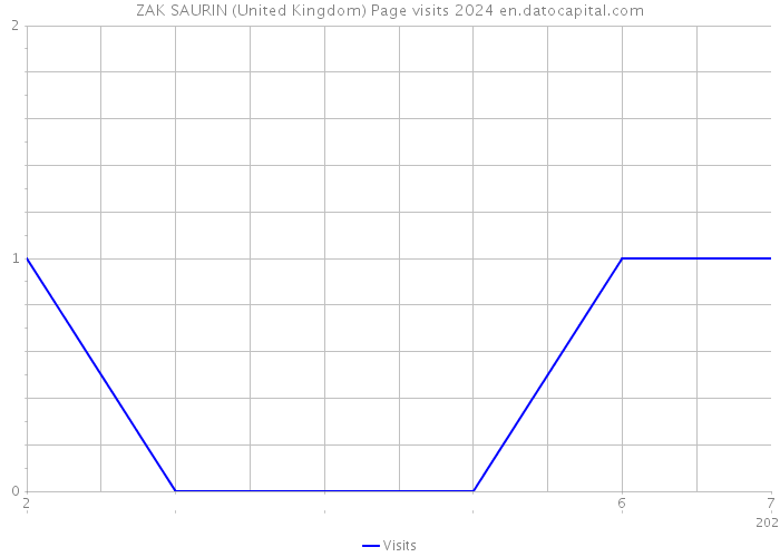 ZAK SAURIN (United Kingdom) Page visits 2024 