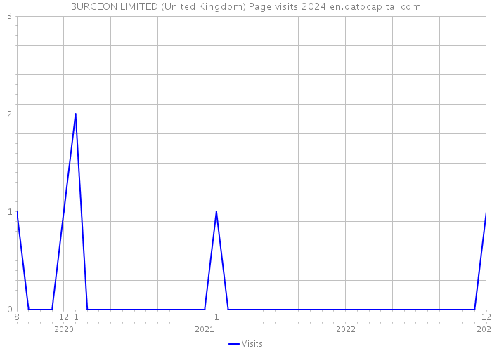 BURGEON LIMITED (United Kingdom) Page visits 2024 