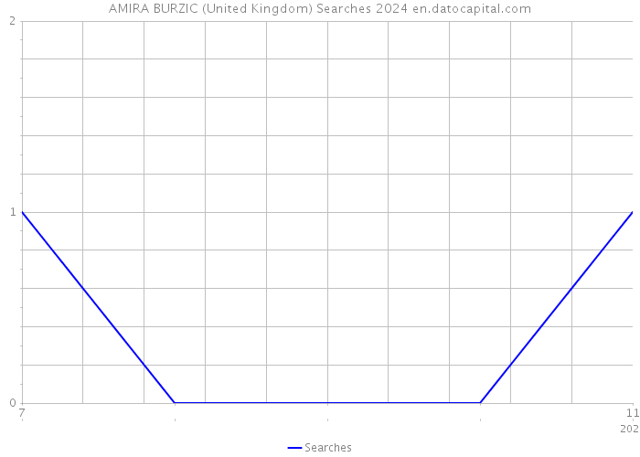 AMIRA BURZIC (United Kingdom) Searches 2024 