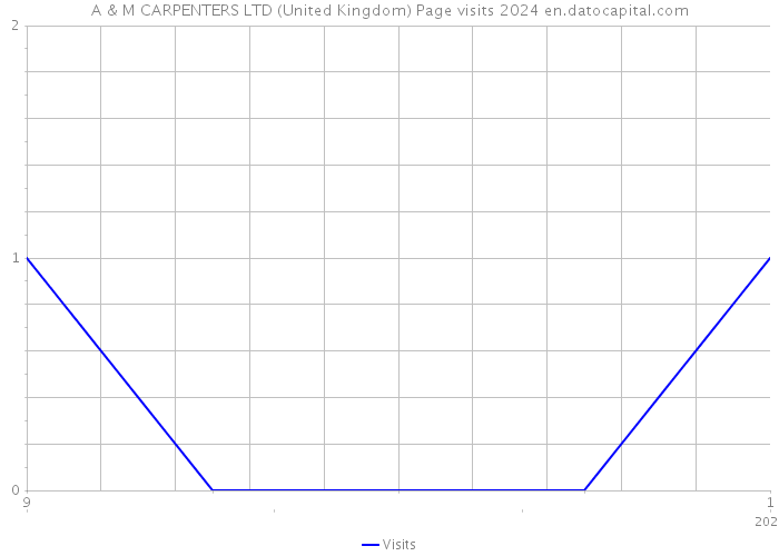 A & M CARPENTERS LTD (United Kingdom) Page visits 2024 