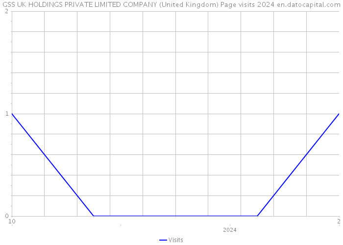 GSS UK HOLDINGS PRIVATE LIMITED COMPANY (United Kingdom) Page visits 2024 