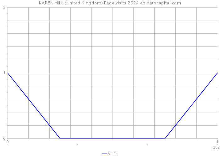 KAREN HILL (United Kingdom) Page visits 2024 