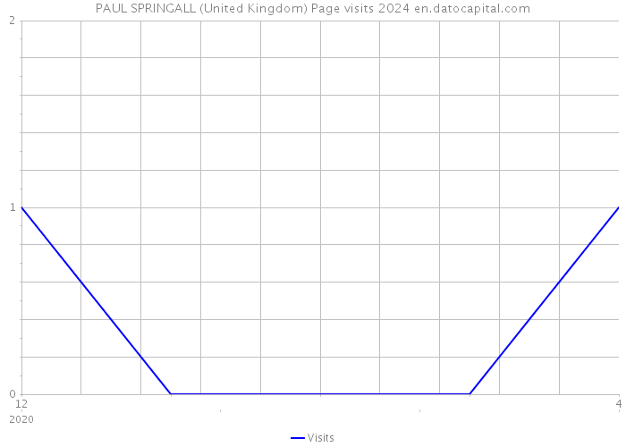 PAUL SPRINGALL (United Kingdom) Page visits 2024 