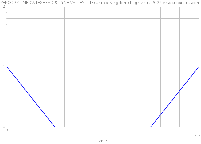 ZERODRYTIME GATESHEAD & TYNE VALLEY LTD (United Kingdom) Page visits 2024 