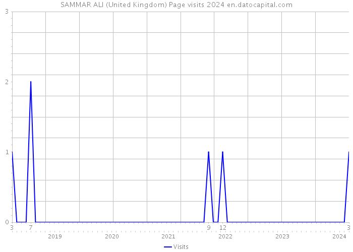 SAMMAR ALI (United Kingdom) Page visits 2024 