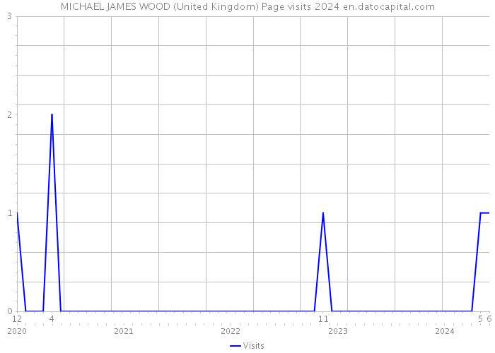 MICHAEL JAMES WOOD (United Kingdom) Page visits 2024 