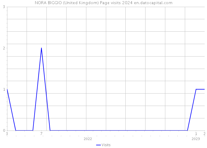 NORA BIGGIO (United Kingdom) Page visits 2024 