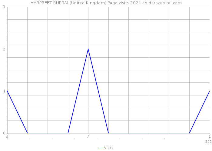 HARPREET RUPRAI (United Kingdom) Page visits 2024 