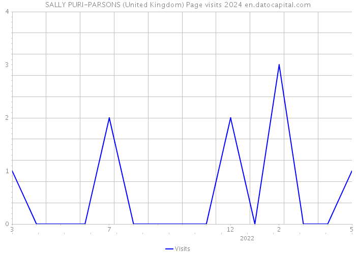 SALLY PURI-PARSONS (United Kingdom) Page visits 2024 