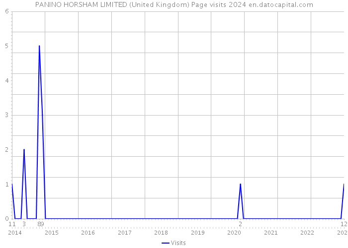 PANINO HORSHAM LIMITED (United Kingdom) Page visits 2024 
