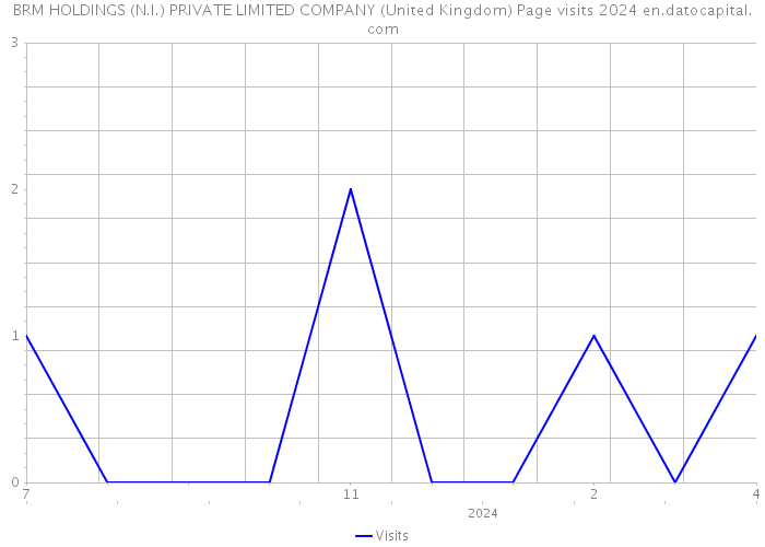 BRM HOLDINGS (N.I.) PRIVATE LIMITED COMPANY (United Kingdom) Page visits 2024 