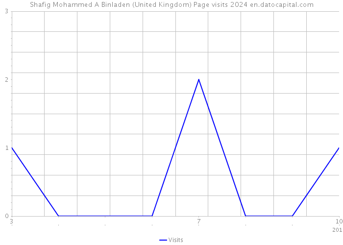 Shafig Mohammed A Binladen (United Kingdom) Page visits 2024 