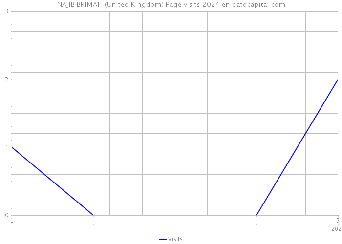 NAJIB BRIMAH (United Kingdom) Page visits 2024 