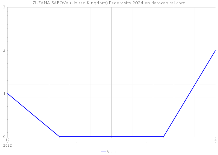 ZUZANA SABOVA (United Kingdom) Page visits 2024 