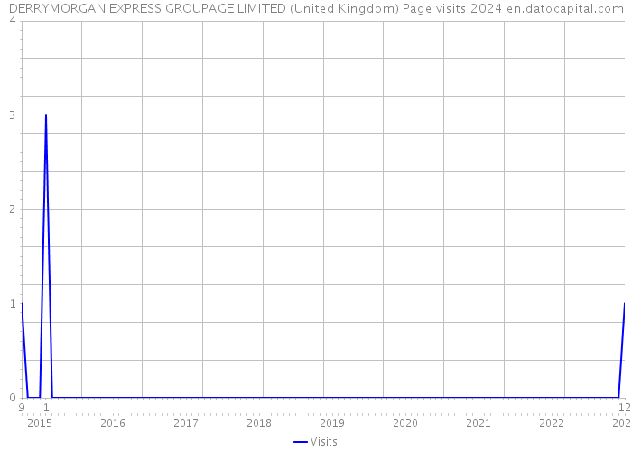 DERRYMORGAN EXPRESS GROUPAGE LIMITED (United Kingdom) Page visits 2024 