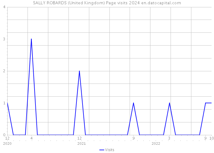 SALLY ROBARDS (United Kingdom) Page visits 2024 