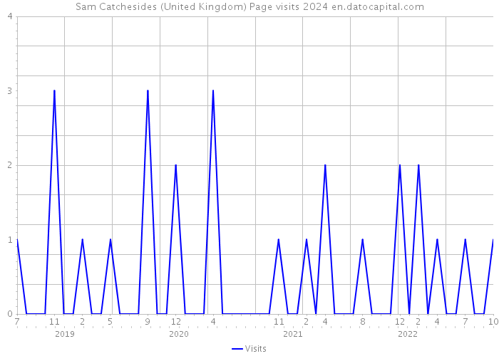 Sam Catchesides (United Kingdom) Page visits 2024 