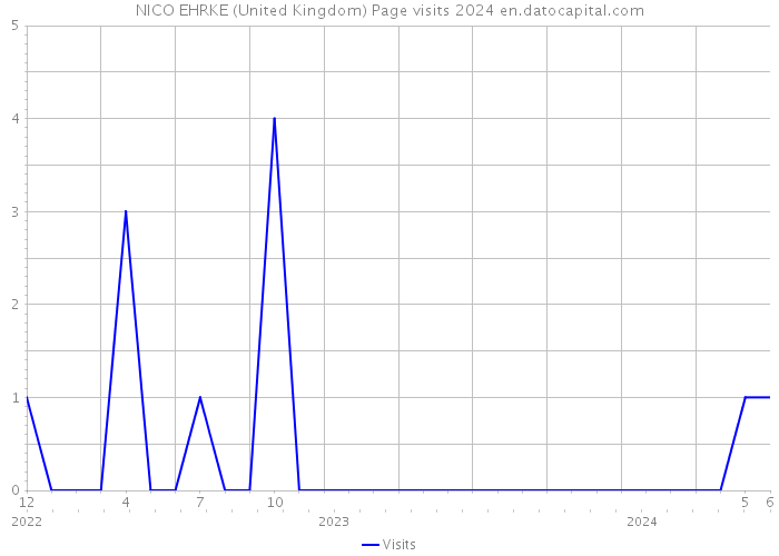 NICO EHRKE (United Kingdom) Page visits 2024 